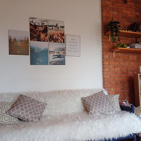 Chalet Grazia Valgiano المظهر الخارجي الصورة
