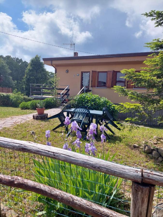 Chalet Grazia Valgiano المظهر الخارجي الصورة