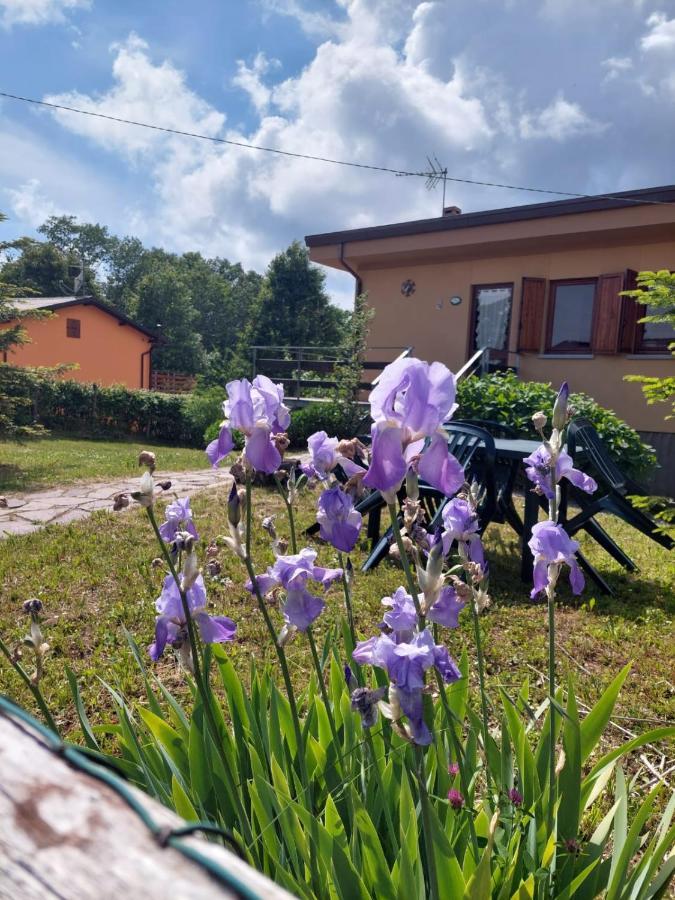 Chalet Grazia Valgiano المظهر الخارجي الصورة
