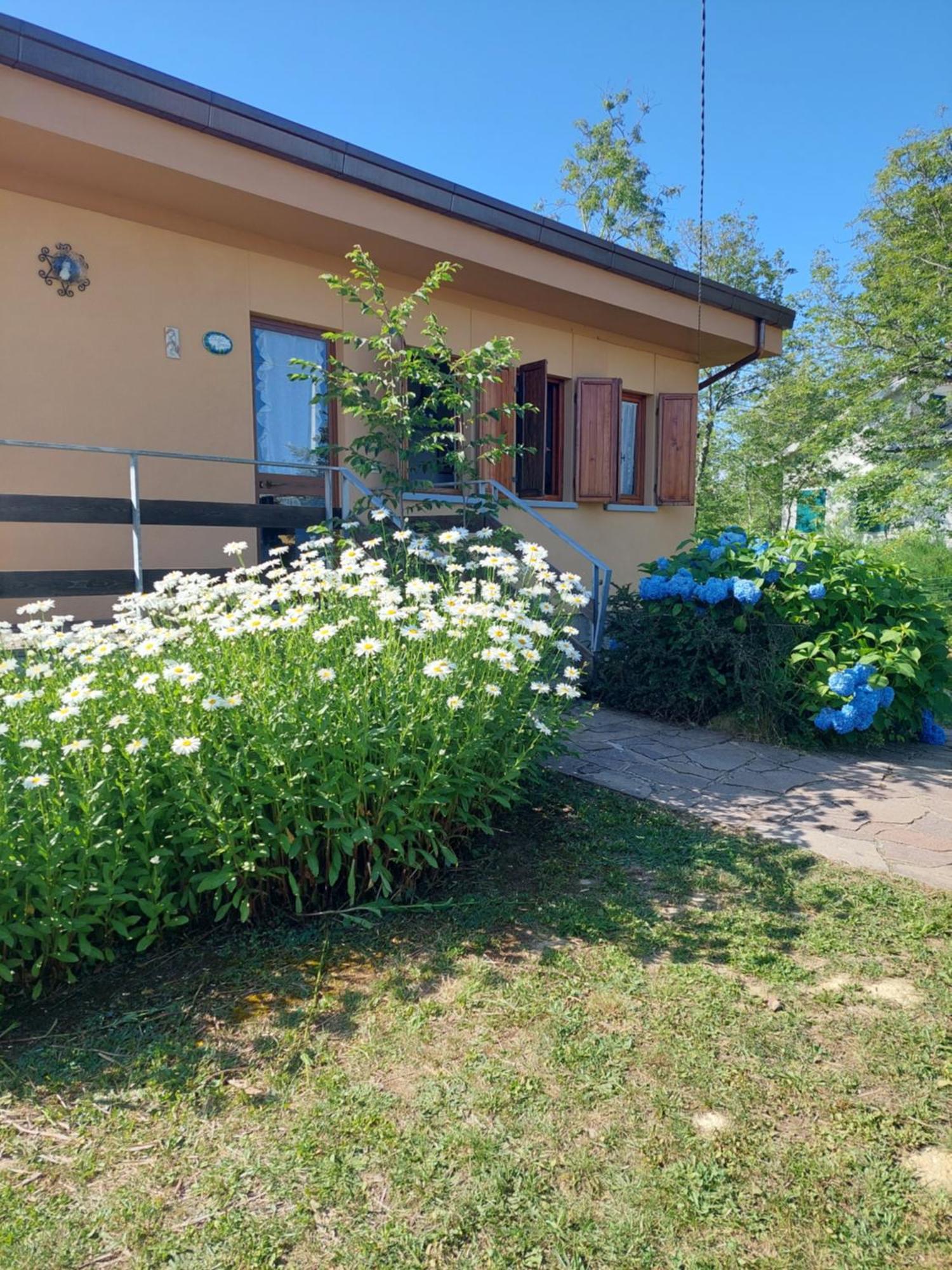 Chalet Grazia Valgiano المظهر الخارجي الصورة