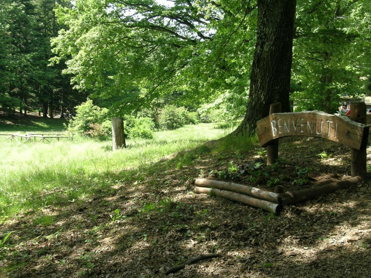 Chalet Grazia Valgiano المظهر الخارجي الصورة